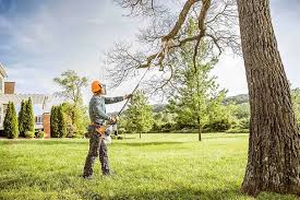  Hanover, IN Tree Removal Pros